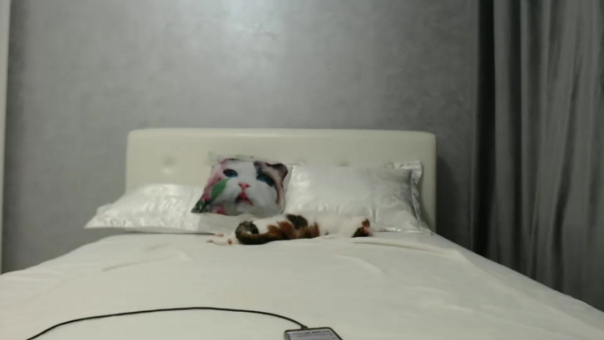 Gallery image thumbnail from Aahh_Emilia's myfreecams stream on, 09/21/2024, 16:14 image 15 of 20