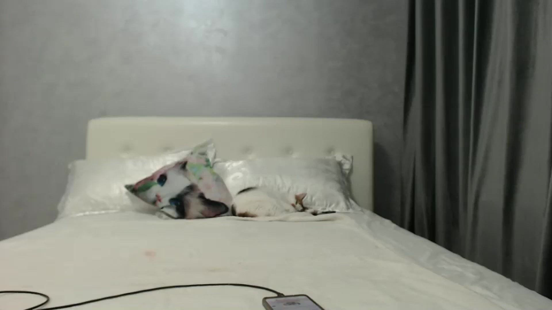 Gallery image thumbnail from Aahh_Emilia's myfreecams stream on, 09/29/2024, 16:32 image 15 of 20