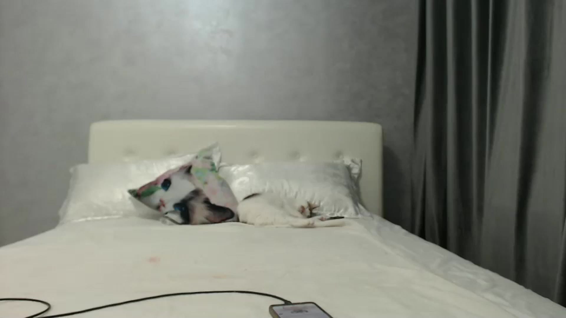 Gallery image thumbnail from Aahh_Emilia's myfreecams stream on, 09/29/2024, 16:32 image 16 of 20