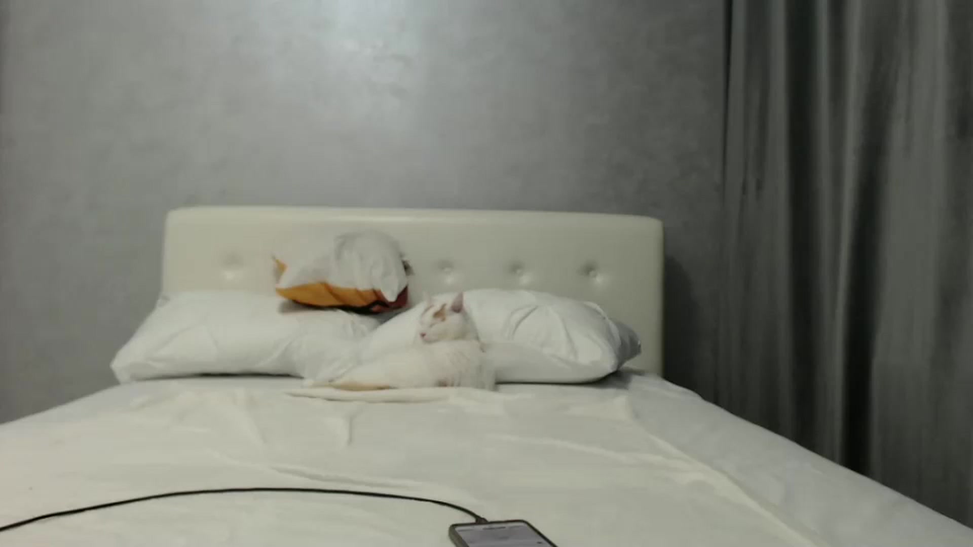 Gallery image thumbnail from Aahh_Emilia's myfreecams stream on, 10/03/2024, 16:34 image 10 of 20