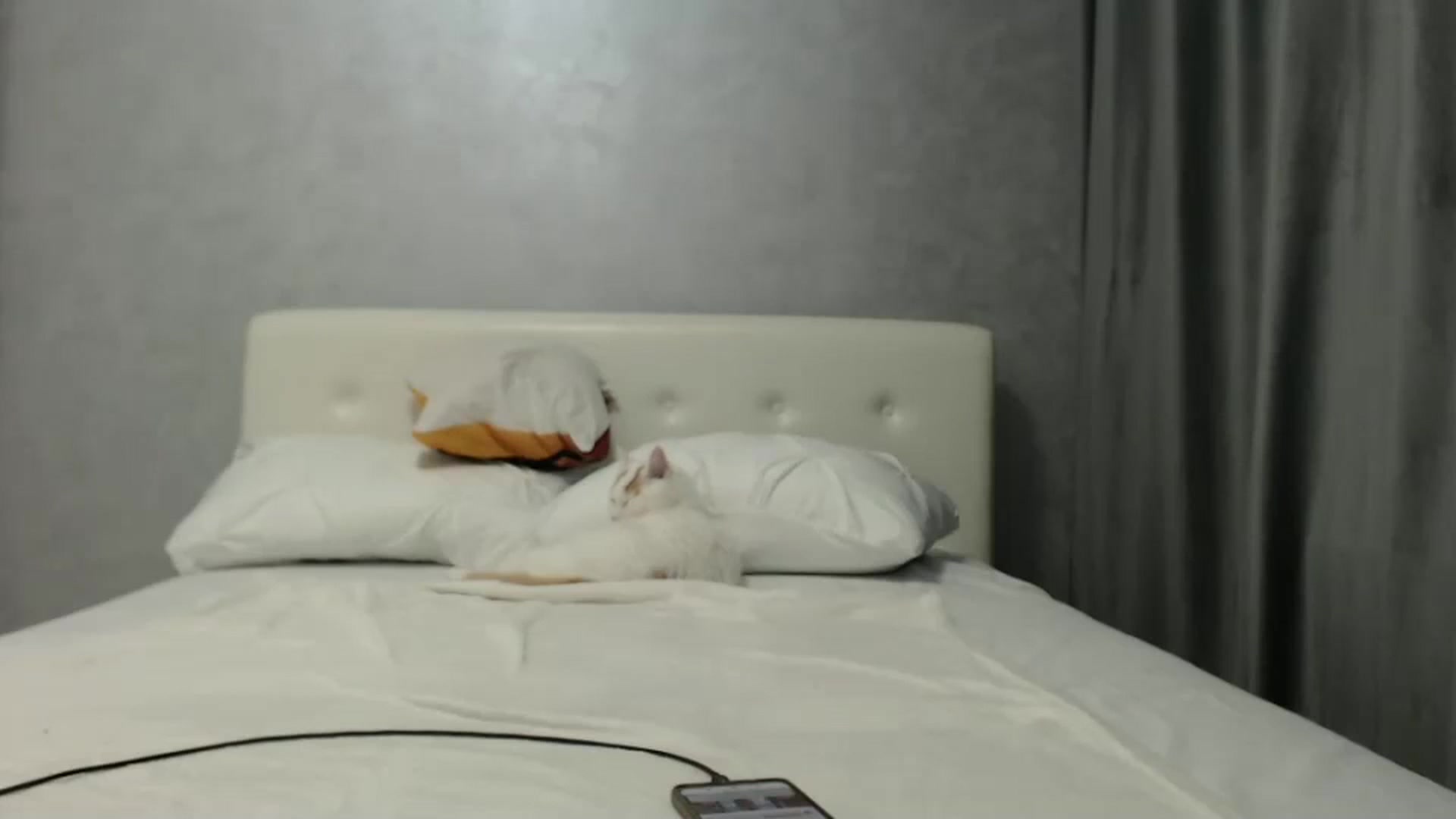 Gallery image thumbnail from Aahh_Emilia's myfreecams stream on, 10/03/2024, 16:34 image 12 of 20