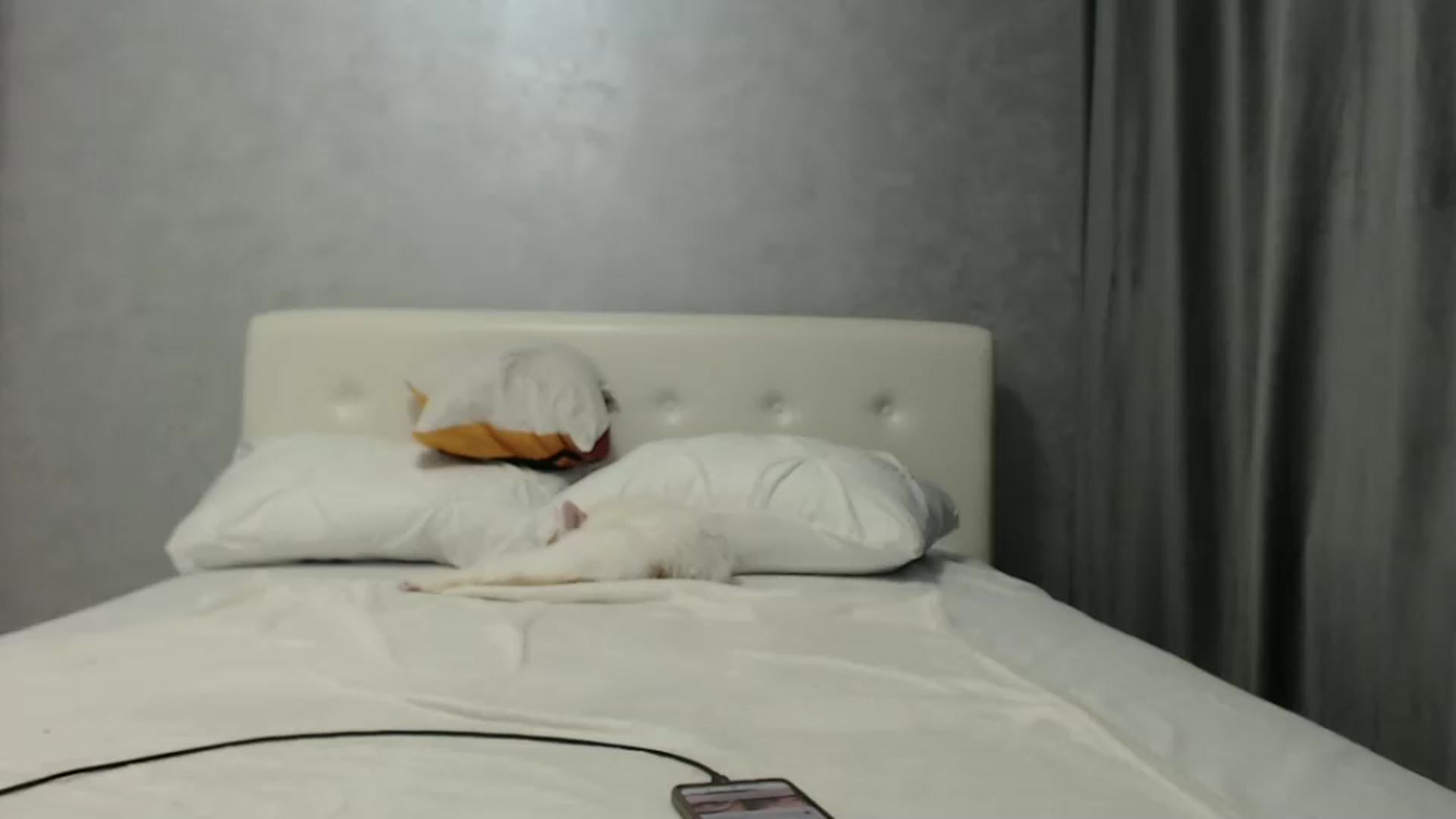Gallery image thumbnail from Aahh_Emilia's myfreecams stream on, 10/03/2024, 16:34 image 15 of 20