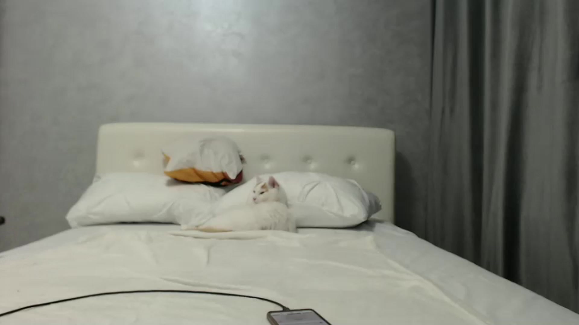 Gallery image thumbnail from Aahh_Emilia's myfreecams stream on, 10/03/2024, 16:34 image 9 of 20