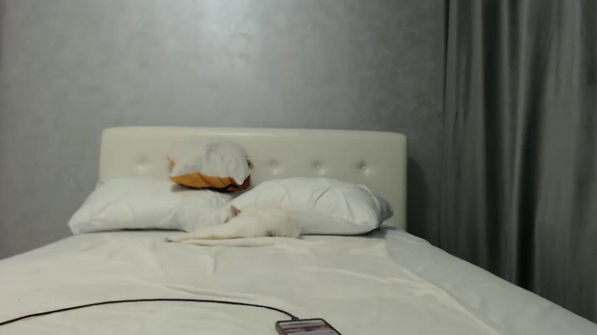 Gallery image thumbnail from Aahh_Emilia's myfreecams stream on, 10/03/2024, 16:34 image 14 of 20