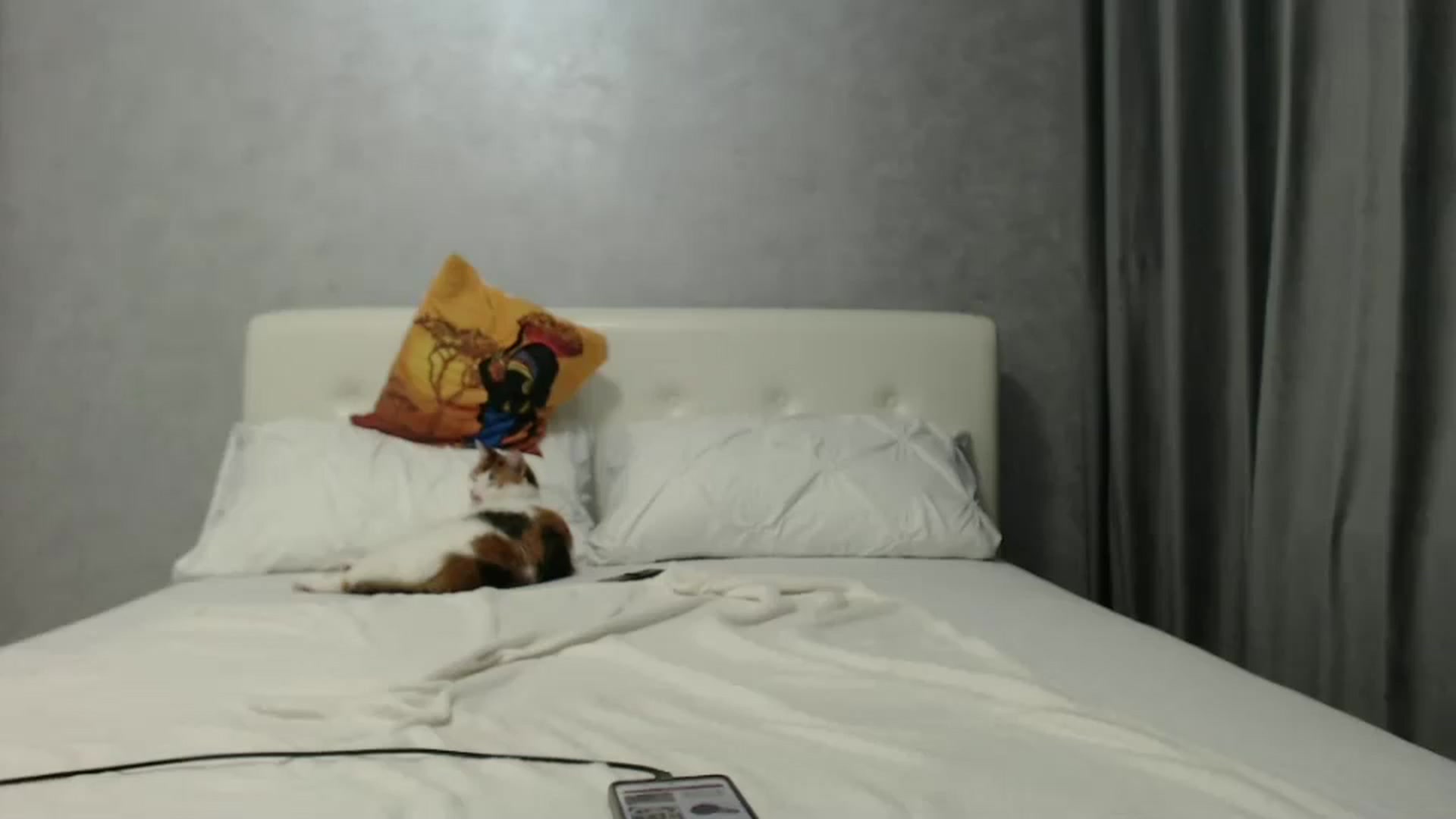 Gallery image thumbnail from Aahh_Emilia's myfreecams stream on, 10/07/2024, 16:32 image 13 of 20