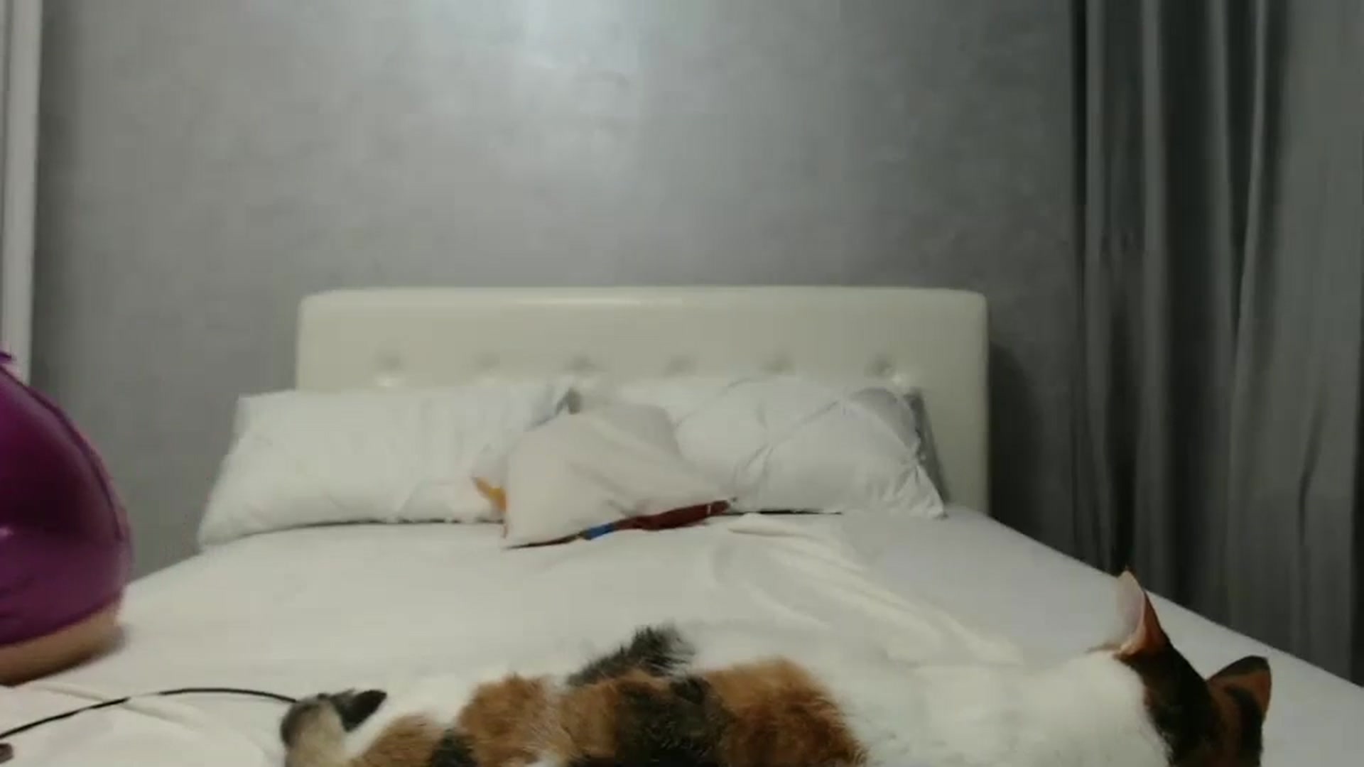 Gallery image thumbnail from Aahh_Emilia's myfreecams stream on, 10/09/2024, 16:35 image 13 of 20