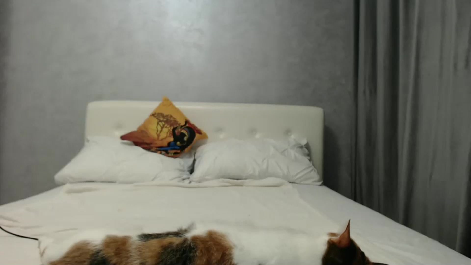 Gallery image thumbnail from Aahh_Emilia's myfreecams stream on, 10/11/2024, 16:32 image 3 of 20