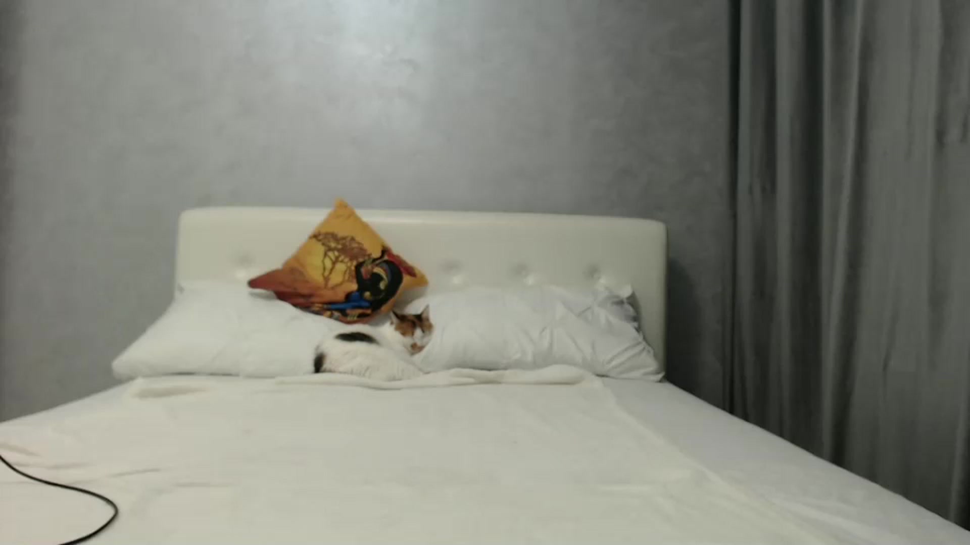 Gallery image thumbnail from Aahh_Emilia's myfreecams stream on, 10/11/2024, 16:32 image 10 of 20