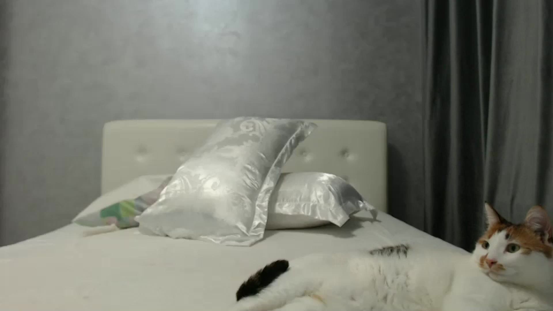 Gallery image thumbnail from Aahh_Emilia's myfreecams stream on, 10/14/2024, 18:33 image 11 of 20