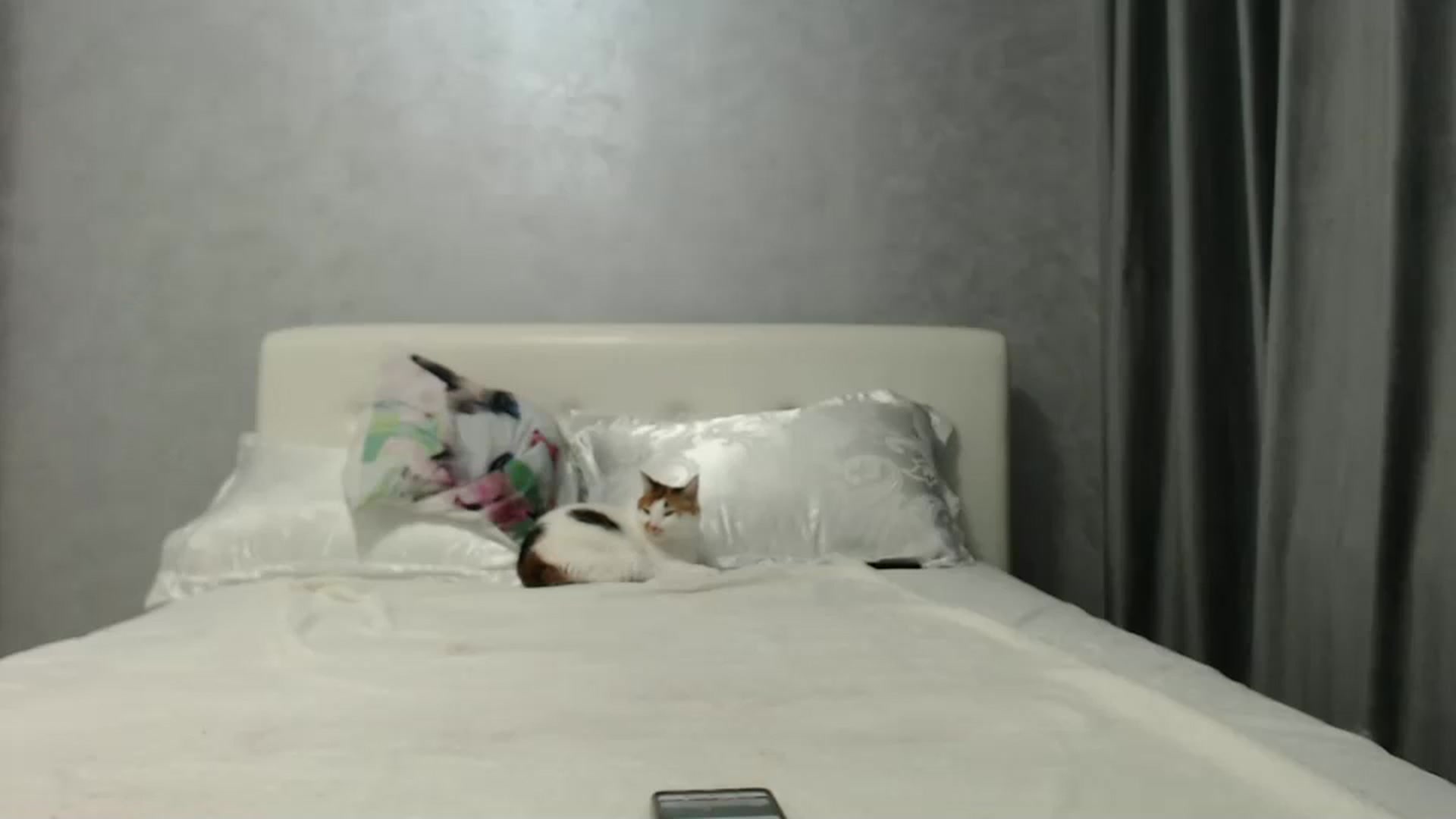 Gallery image thumbnail from Aahh_Emilia's myfreecams stream on, 10/15/2024, 16:04 image 15 of 20