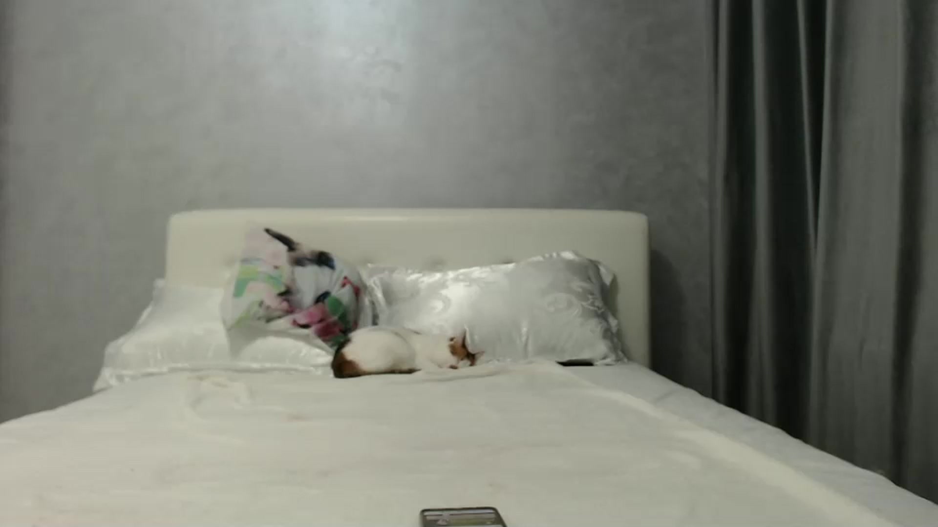 Gallery image thumbnail from Aahh_Emilia's myfreecams stream on, 10/15/2024, 16:04 image 17 of 20