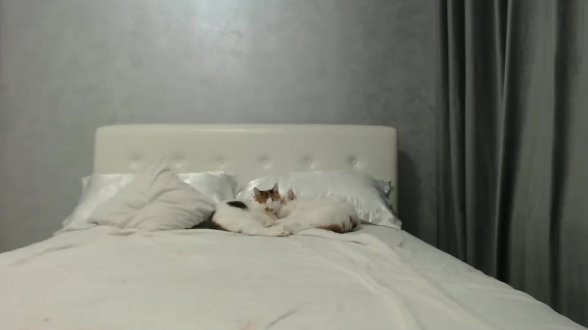 Gallery image thumbnail from Aahh_Emilia's myfreecams stream on, 10/19/2024, 16:52 image 15 of 20