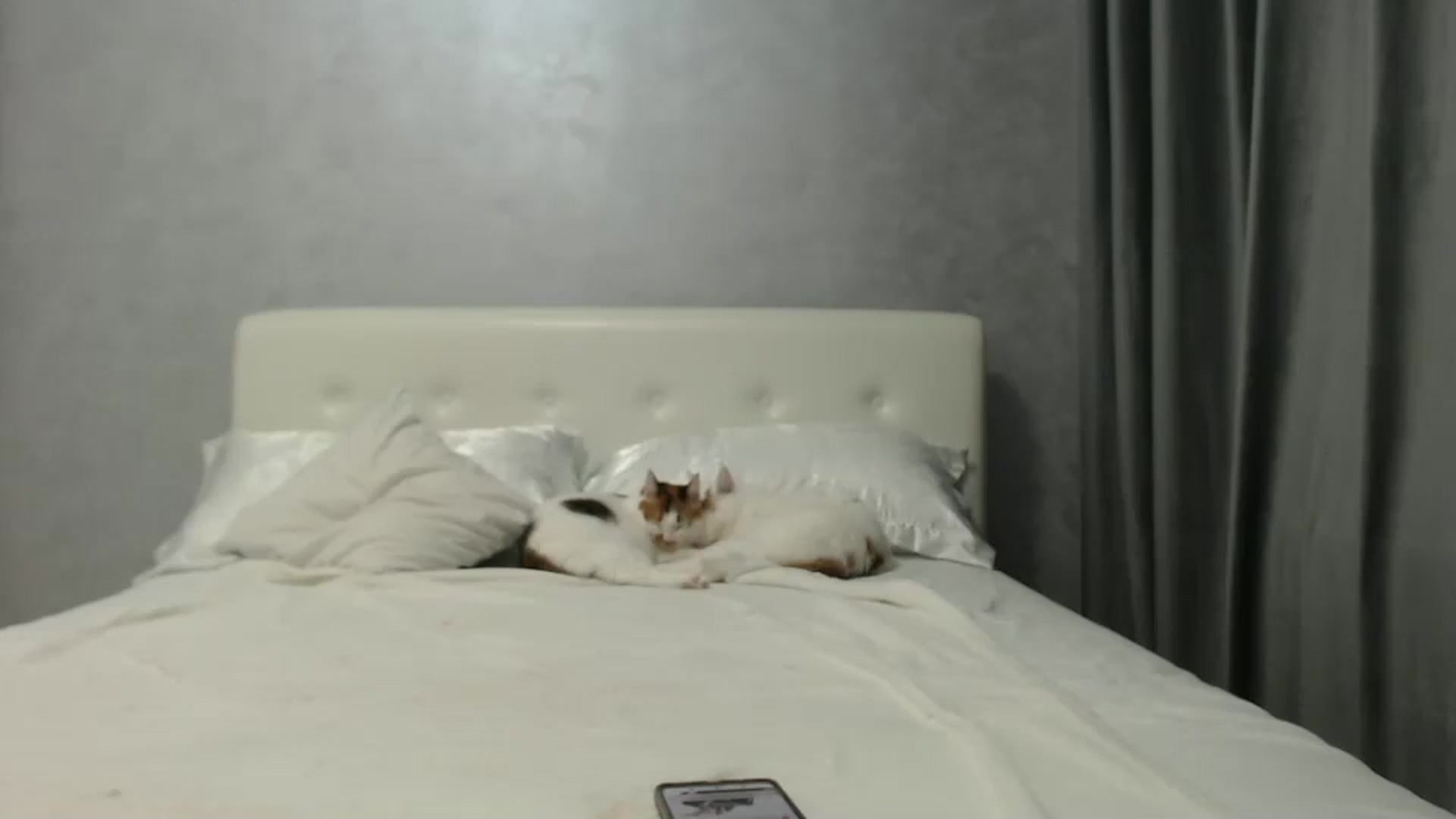 Gallery image thumbnail from Aahh_Emilia's myfreecams stream on, 10/19/2024, 16:52 image 14 of 20