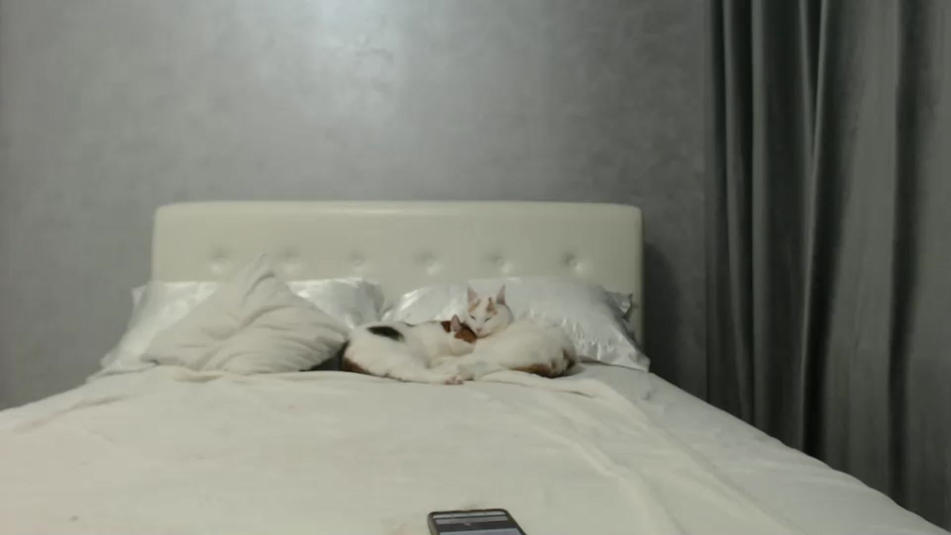Gallery image thumbnail from Aahh_Emilia's myfreecams stream on, 10/19/2024, 16:52 image 12 of 20