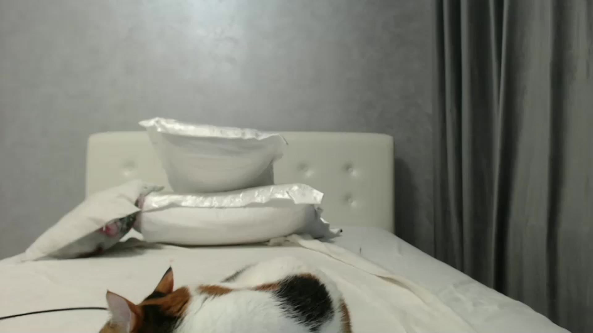 Gallery image thumbnail from Aahh_Emilia's myfreecams stream on, 10/19/2024, 18:37 image 14 of 20