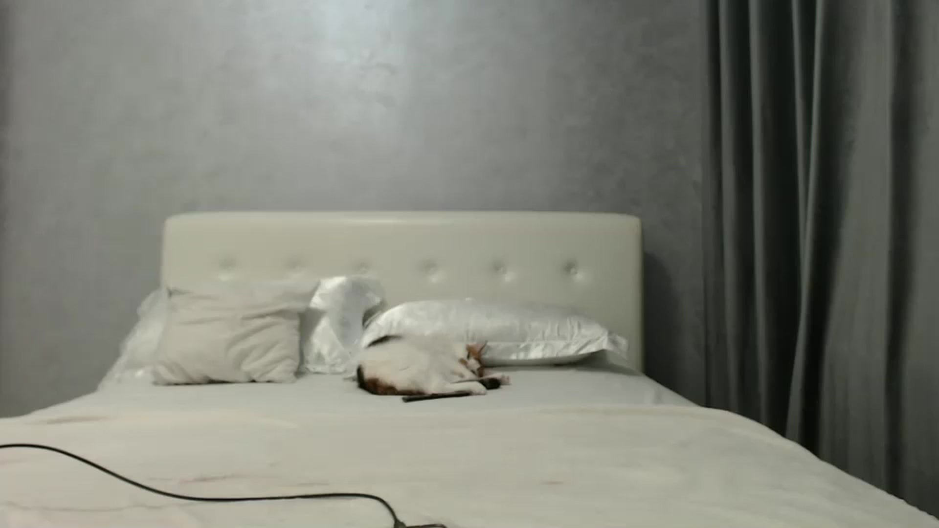 Gallery image thumbnail from Aahh_Emilia's myfreecams stream on, 10/20/2024, 16:35 image 5 of 20