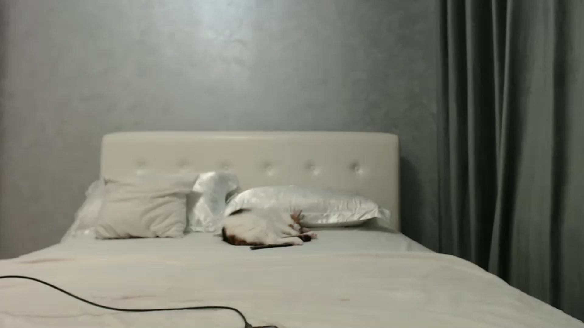 Gallery image thumbnail from Aahh_Emilia's myfreecams stream on, 10/20/2024, 16:35 image 6 of 20