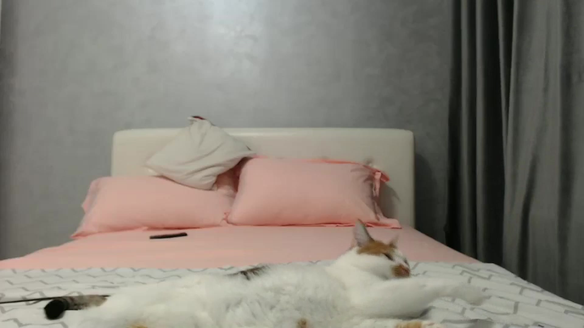 Gallery image thumbnail from Aahh_Emilia's myfreecams stream on, 10/21/2024, 17:04 image 9 of 20