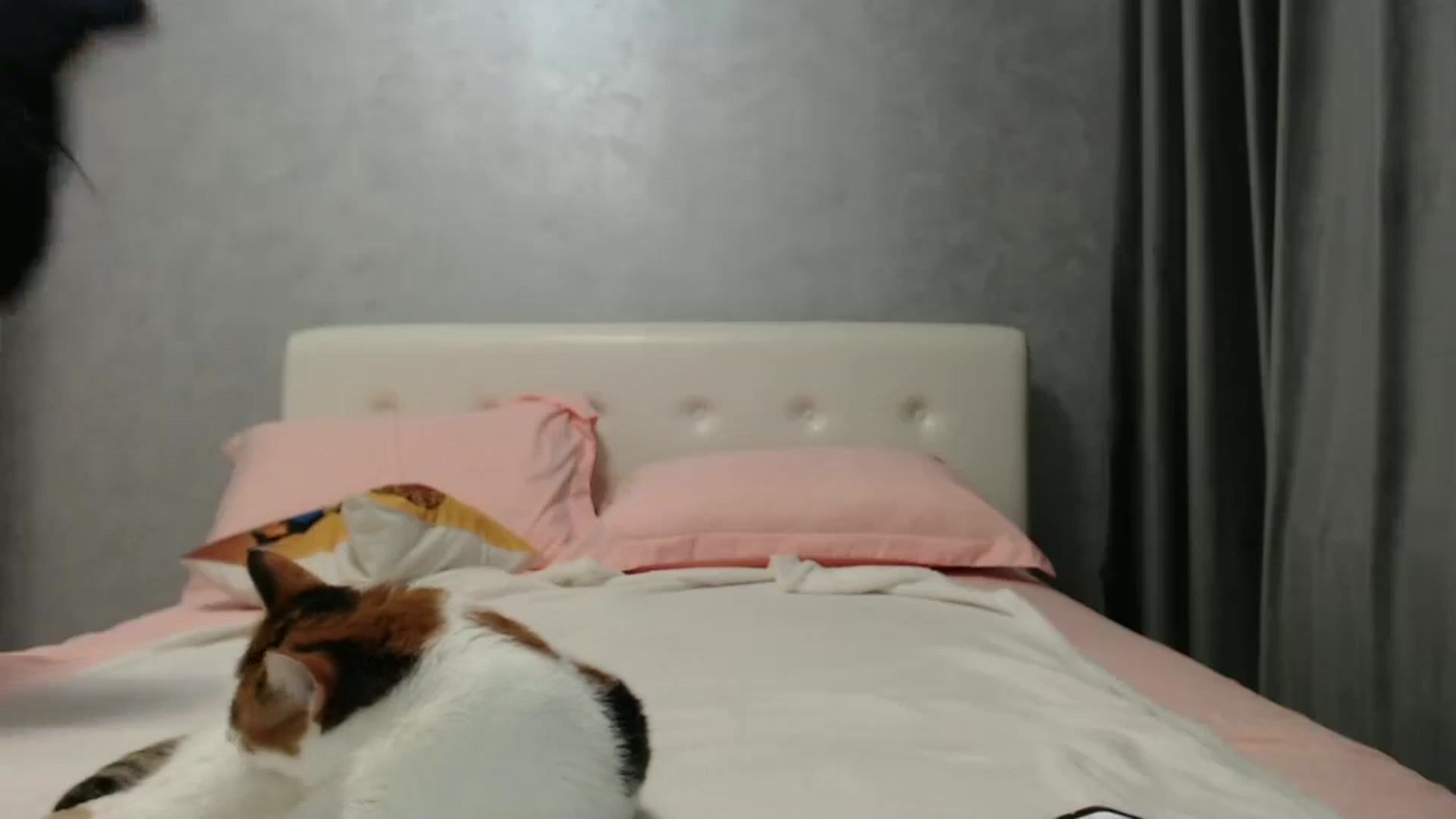 Gallery image thumbnail from Aahh_Emilia's myfreecams stream on, 10/23/2024, 16:33 image 9 of 20
