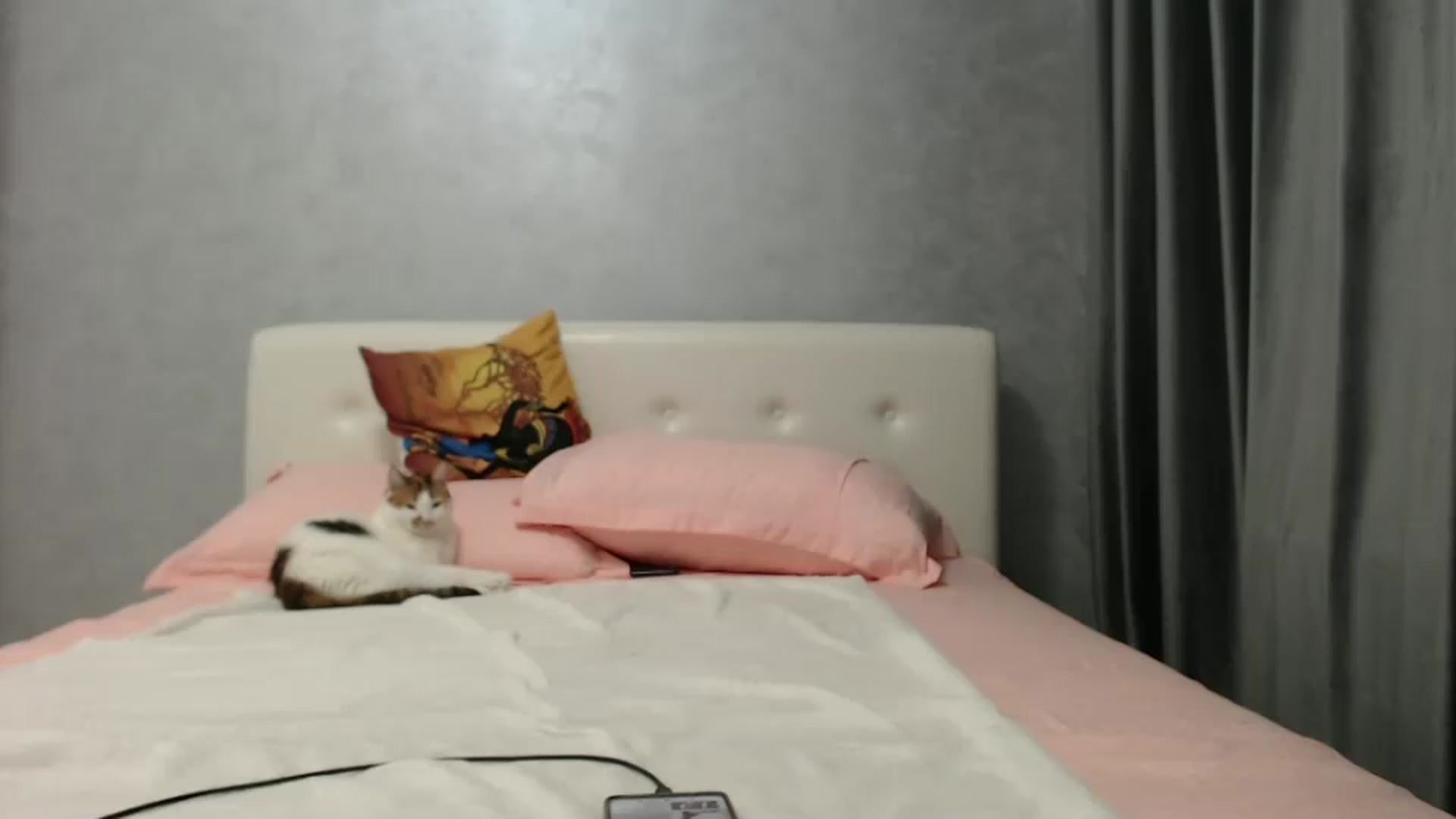 Gallery image thumbnail from Aahh_Emilia's myfreecams stream on, 10/25/2024, 16:38 image 11 of 20