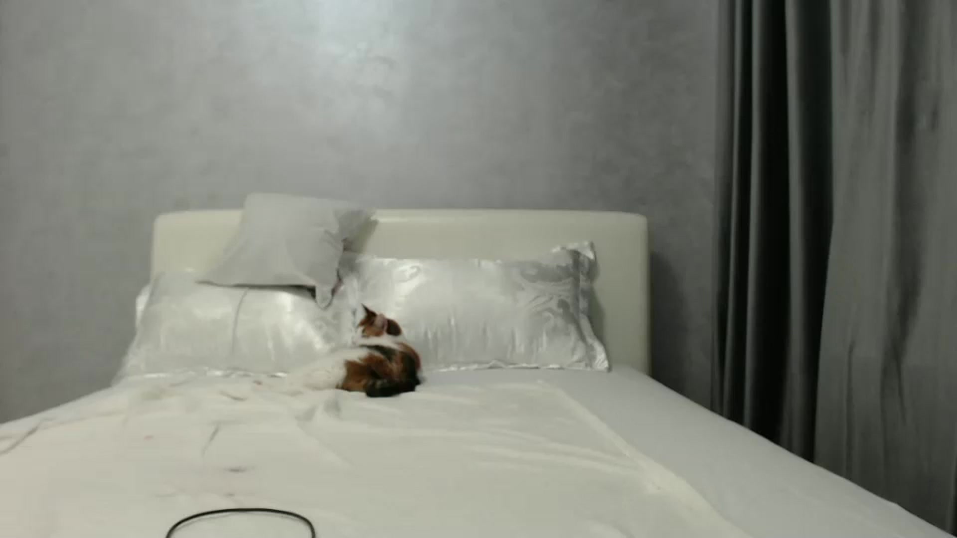 Gallery image thumbnail from Aahh_Emilia's myfreecams stream on, 10/27/2024, 16:19 image 14 of 20