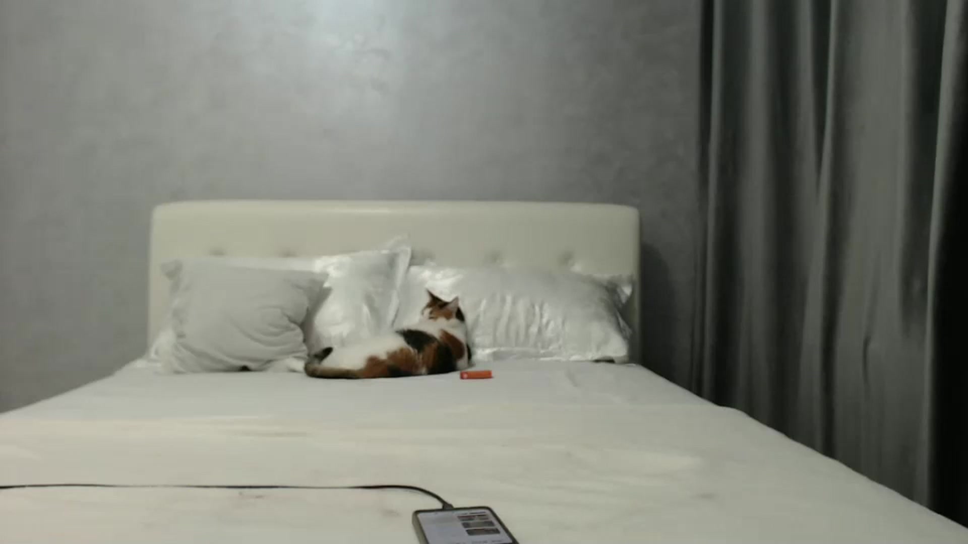 Gallery image thumbnail from Aahh_Emilia's myfreecams stream on, 10/31/2024, 16:37 image 10 of 20