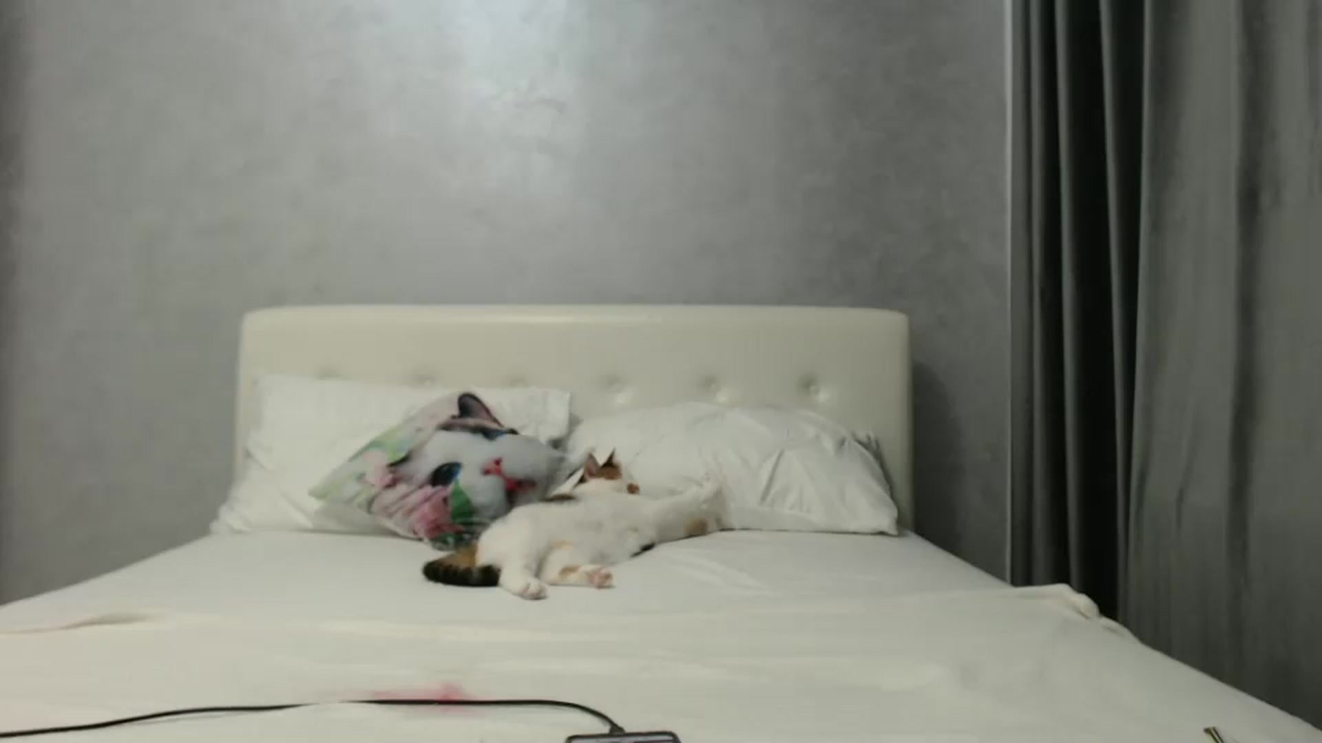Gallery image thumbnail from Aahh_Emilia's myfreecams stream on, 11/07/2024, 17:10 image 13 of 20