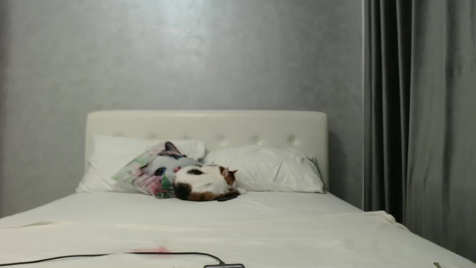 Gallery image thumbnail from Aahh_Emilia's myfreecams stream on, 11/07/2024, 17:10 image 14 of 20