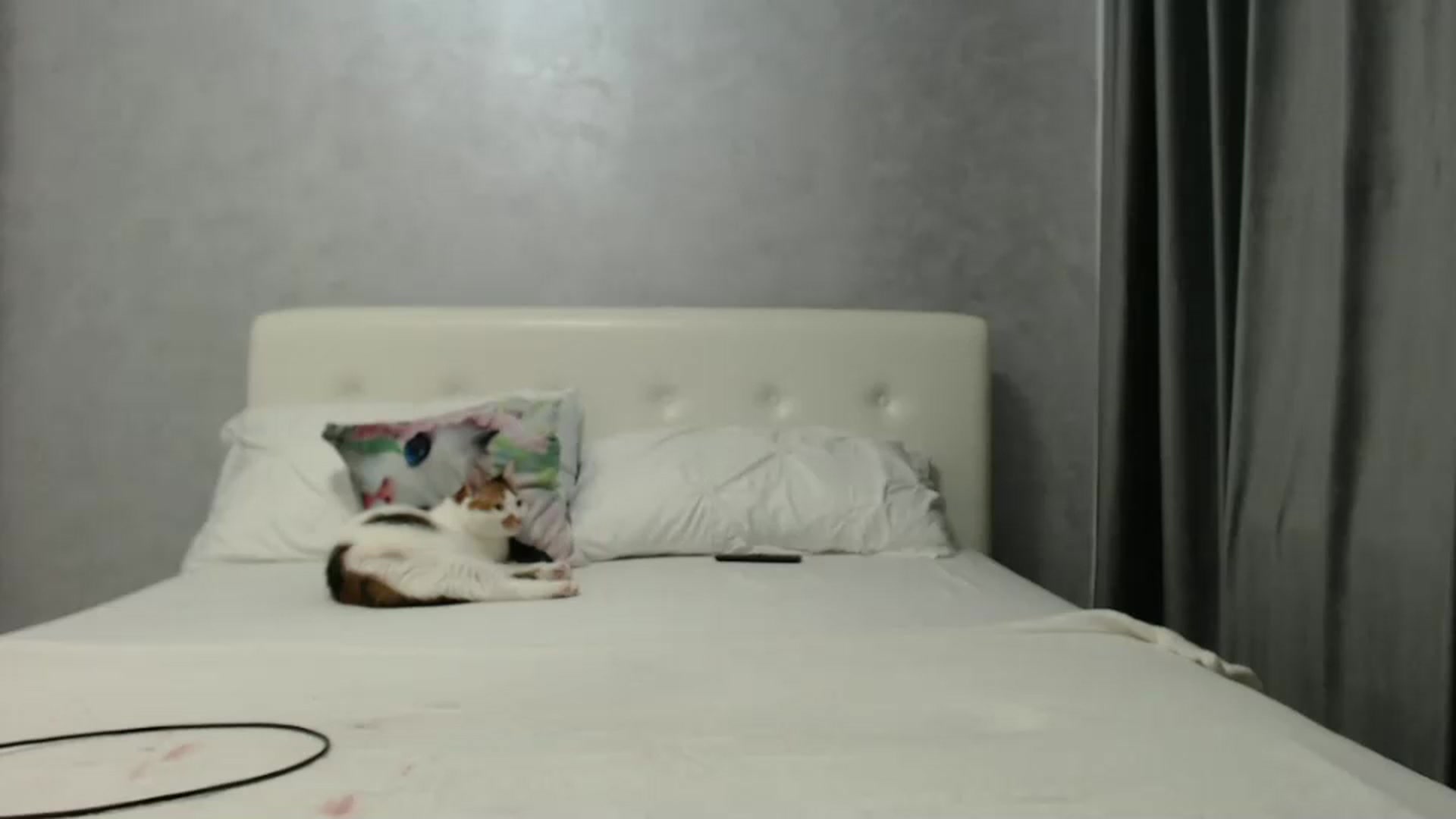 Gallery image thumbnail from Aahh_Emilia's myfreecams stream on, 11/10/2024, 18:15 image 17 of 20