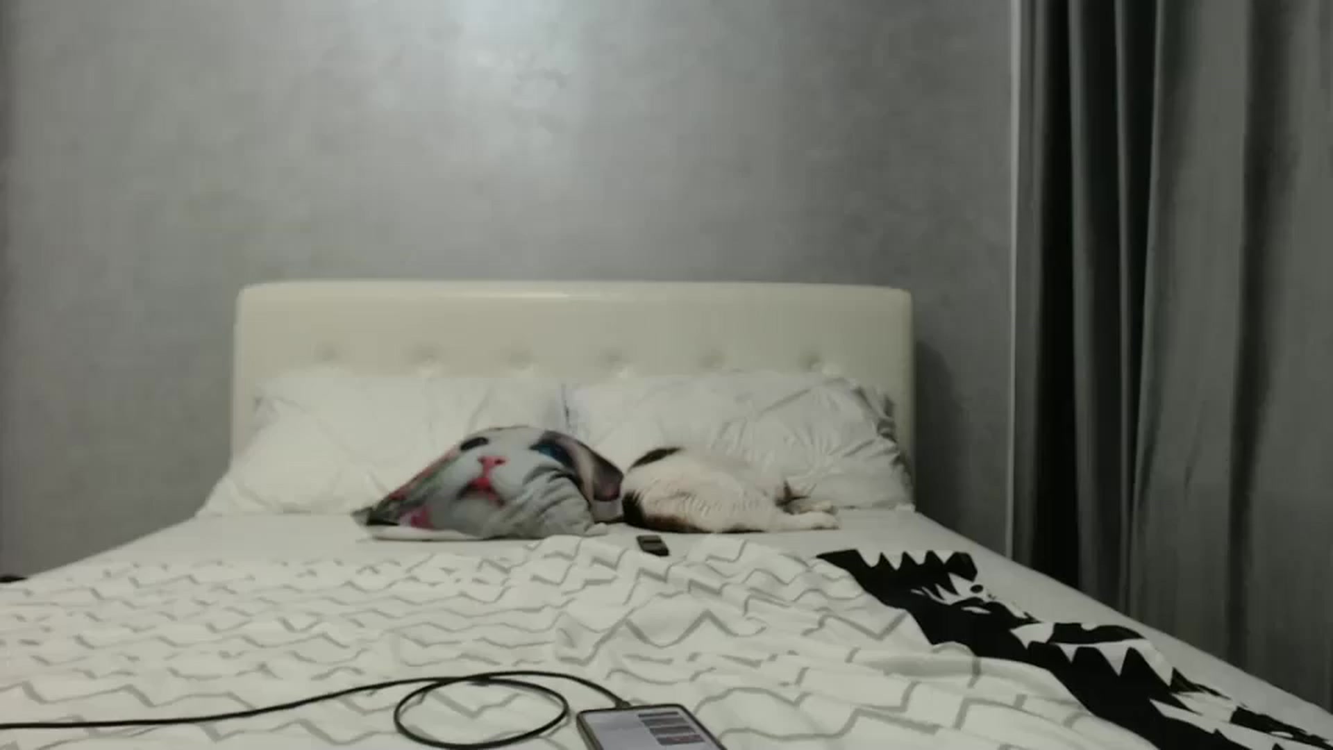 Gallery image thumbnail from Aahh_Emilia's myfreecams stream on, 11/11/2024, 17:44 image 15 of 20