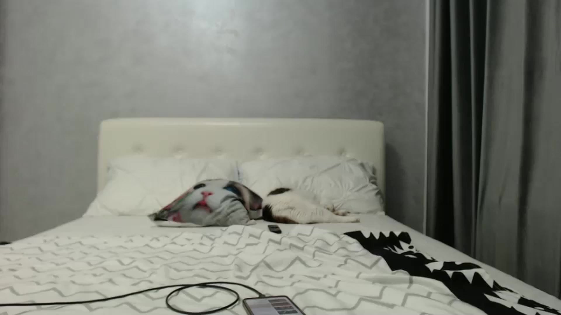 Gallery image thumbnail from Aahh_Emilia's myfreecams stream on, 11/11/2024, 17:44 image 14 of 20