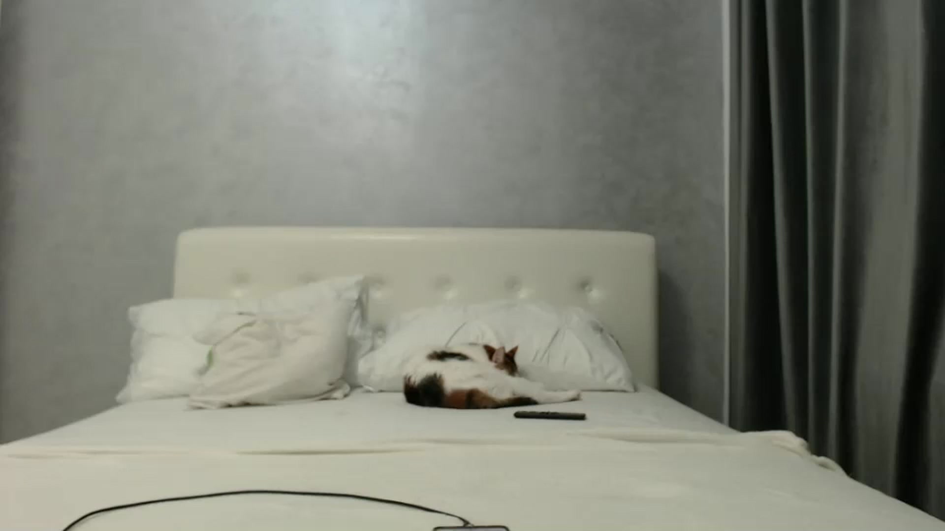 Gallery image thumbnail from Aahh_Emilia's myfreecams stream on, 11/13/2024, 17:56 image 10 of 20