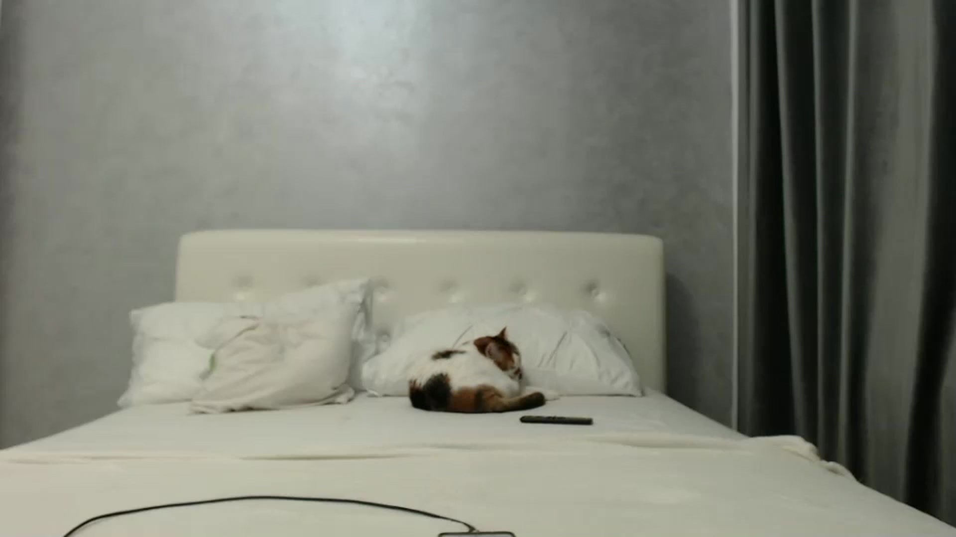 Gallery image thumbnail from Aahh_Emilia's myfreecams stream on, 11/13/2024, 17:56 image 9 of 20