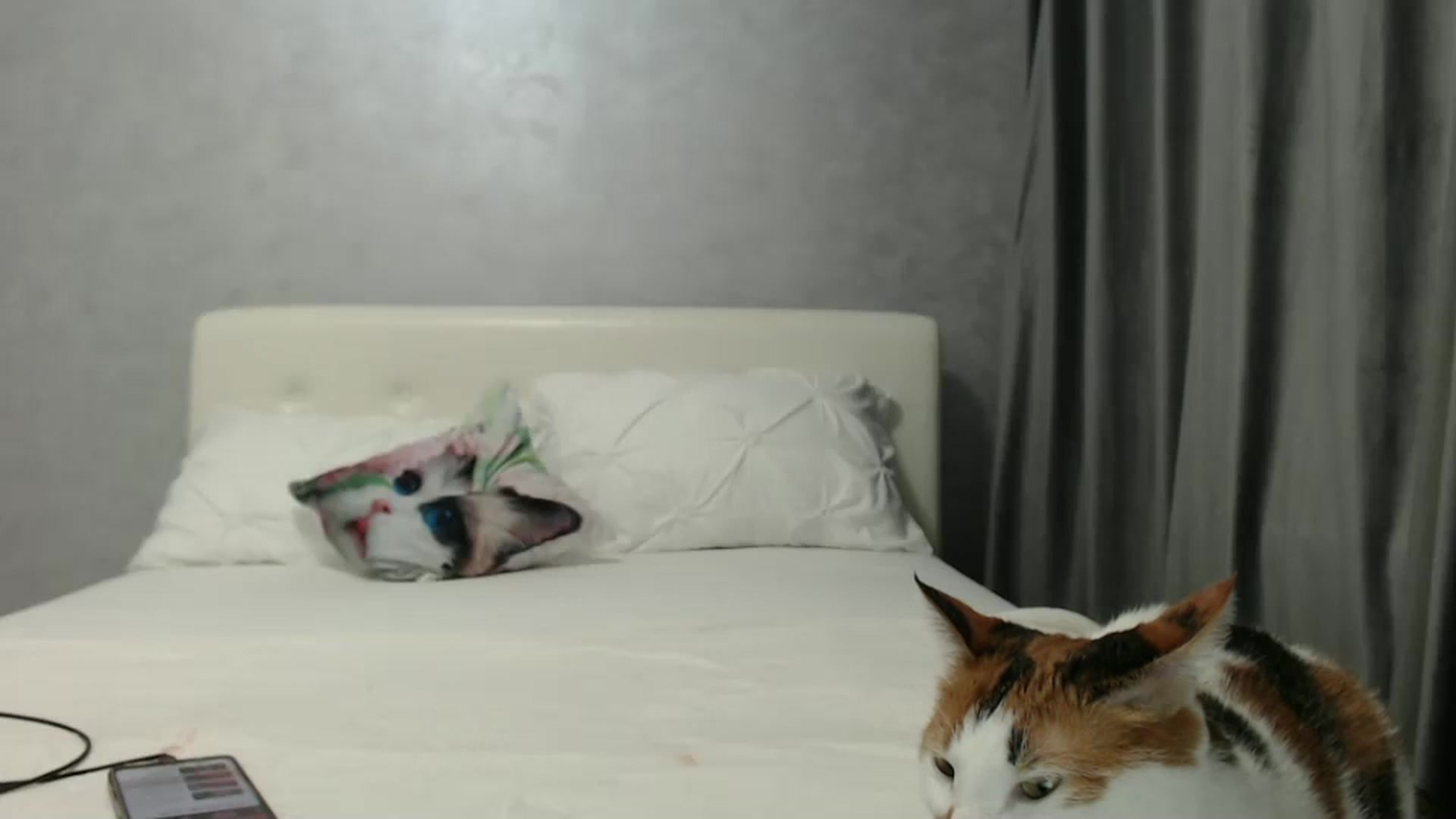 Gallery image thumbnail from Aahh_Emilia's myfreecams stream on, 11/21/2024, 17:32 image 10 of 20