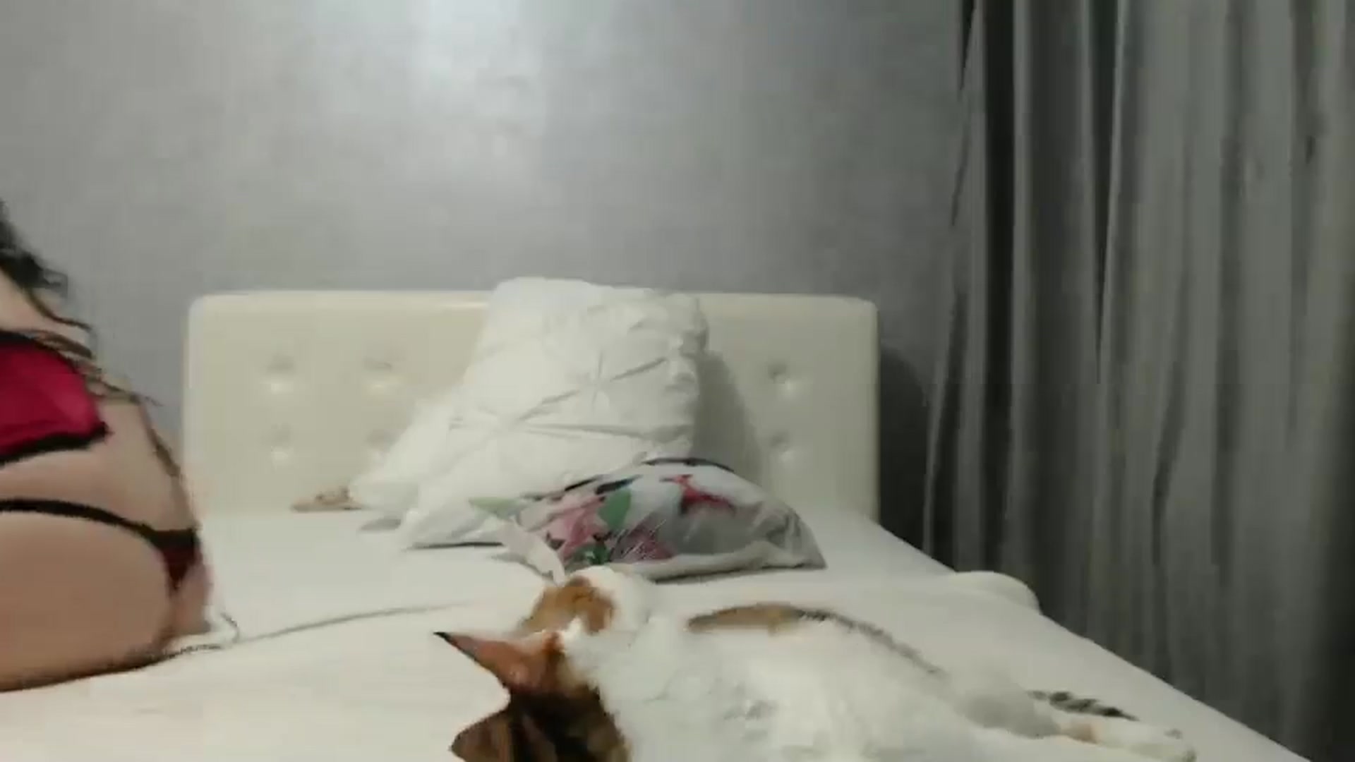 Gallery image thumbnail from Aahh_Emilia's myfreecams stream on, 11/21/2024, 19:08 image 10 of 20