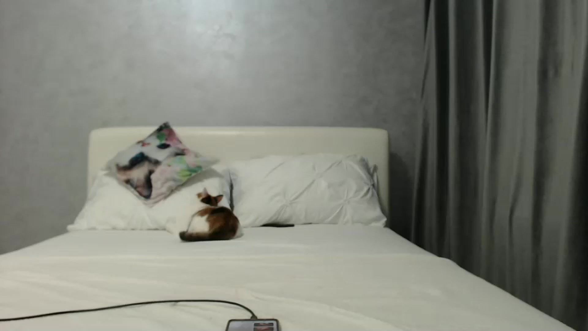 Gallery image thumbnail from Aahh_Emilia's myfreecams stream on, 11/22/2024, 17:38 image 14 of 20
