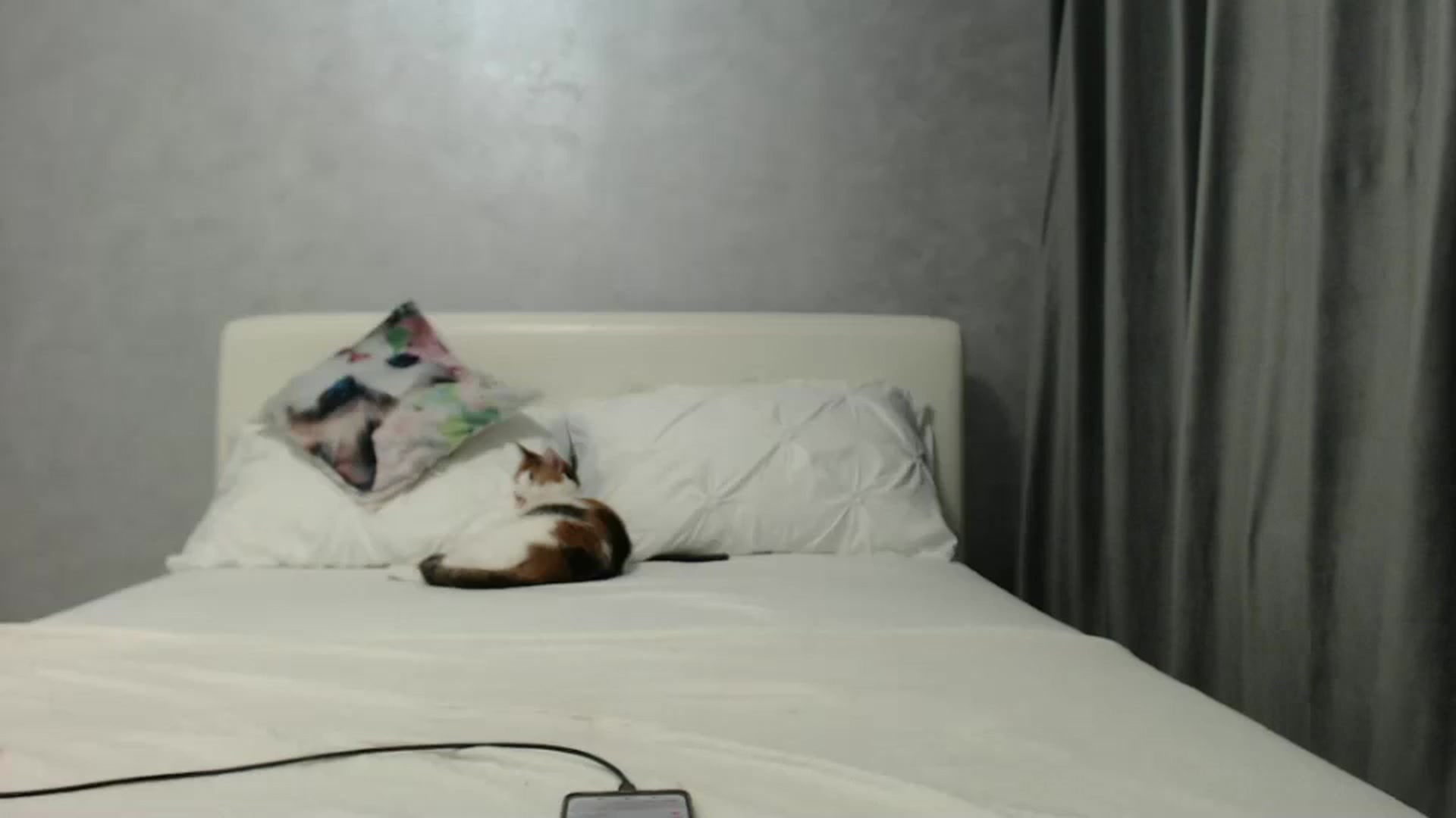 Gallery image thumbnail from Aahh_Emilia's myfreecams stream on, 11/22/2024, 17:38 image 1 of 20