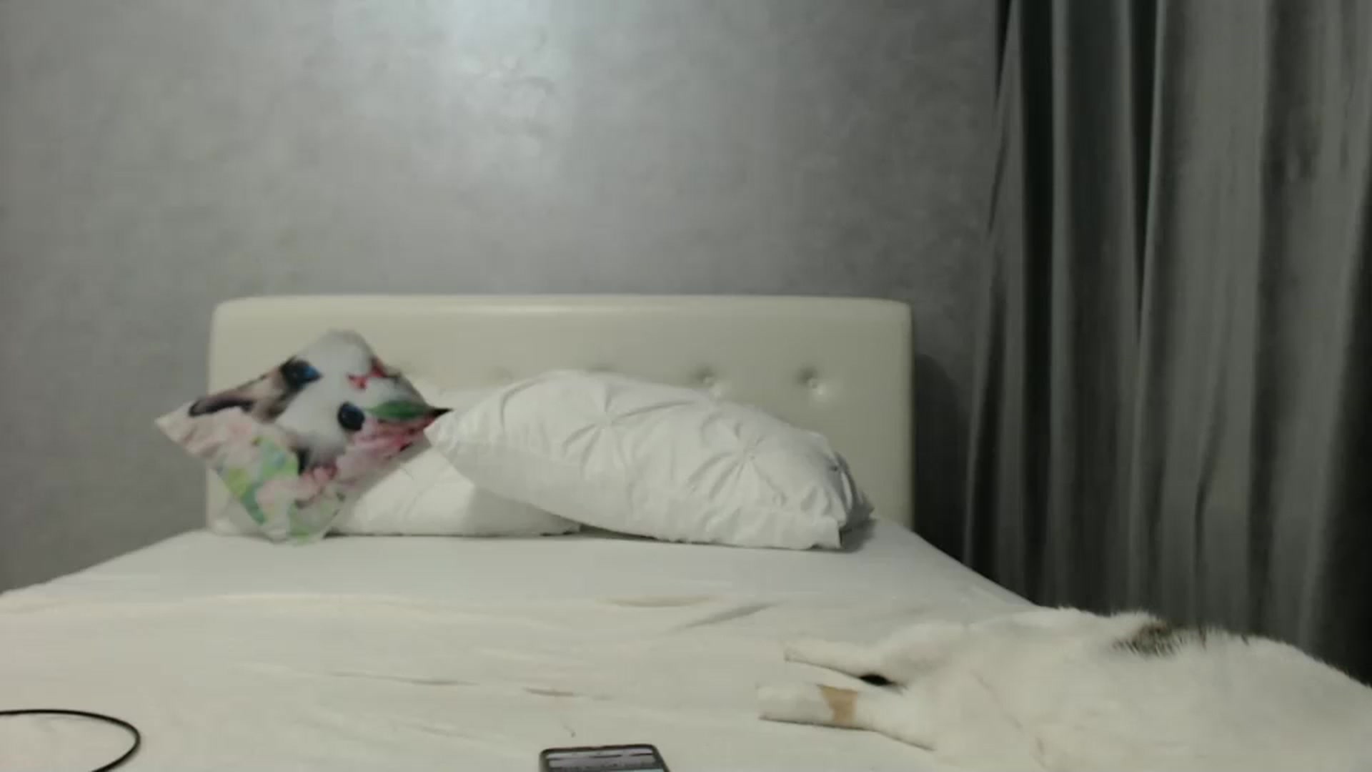 Gallery image thumbnail from Aahh_Emilia's myfreecams stream on, 11/22/2024, 19:34 image 2 of 20