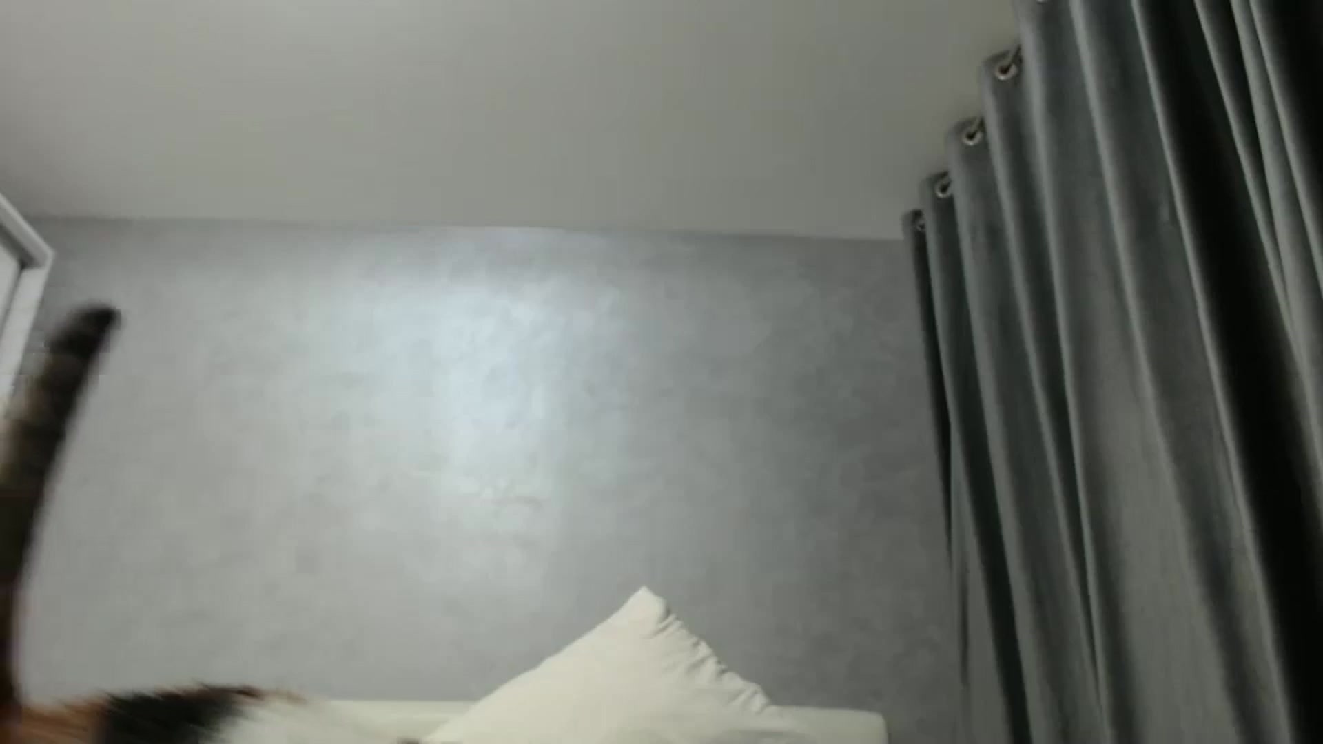Gallery image thumbnail from Aahh_Emilia's myfreecams stream on, 11/24/2024, 18:25 image 16 of 20