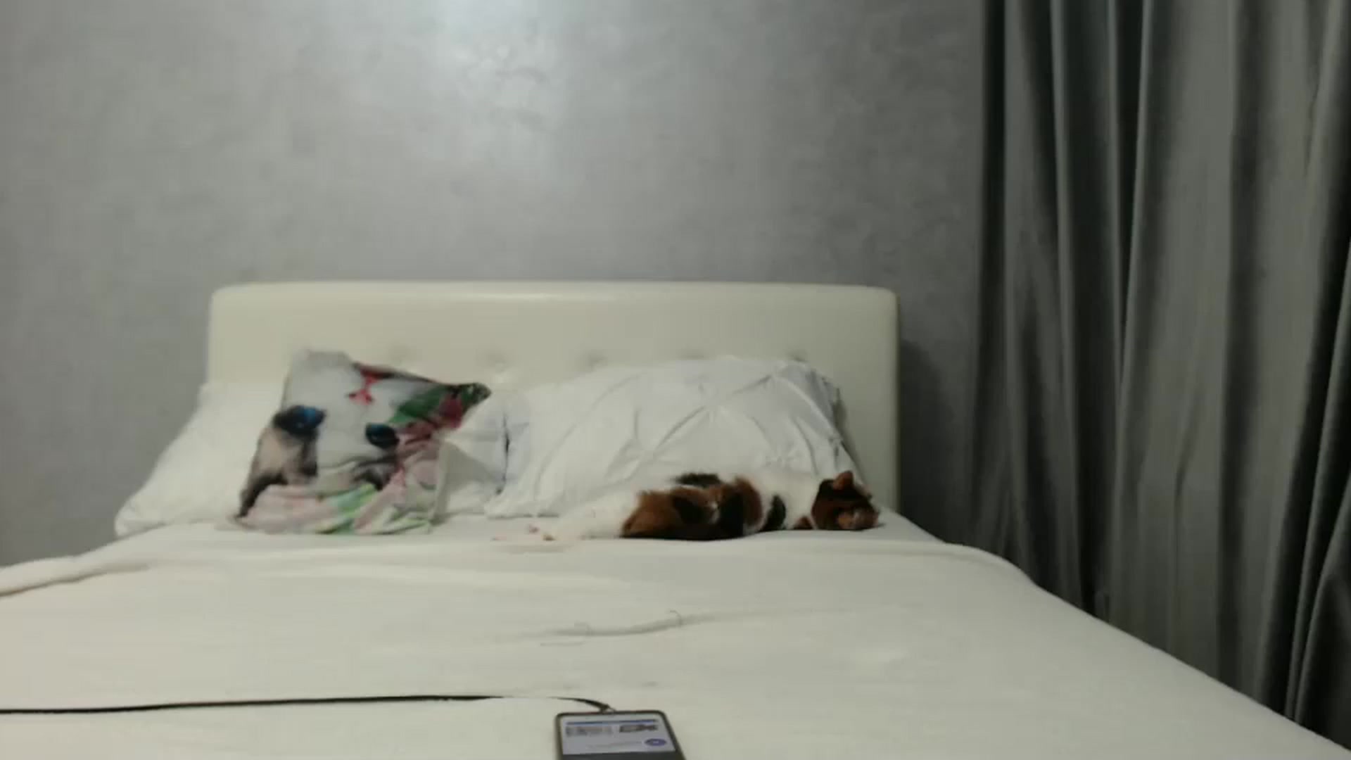 Gallery image thumbnail from Aahh_Emilia's myfreecams stream on, 11/30/2024, 17:52 image 11 of 20