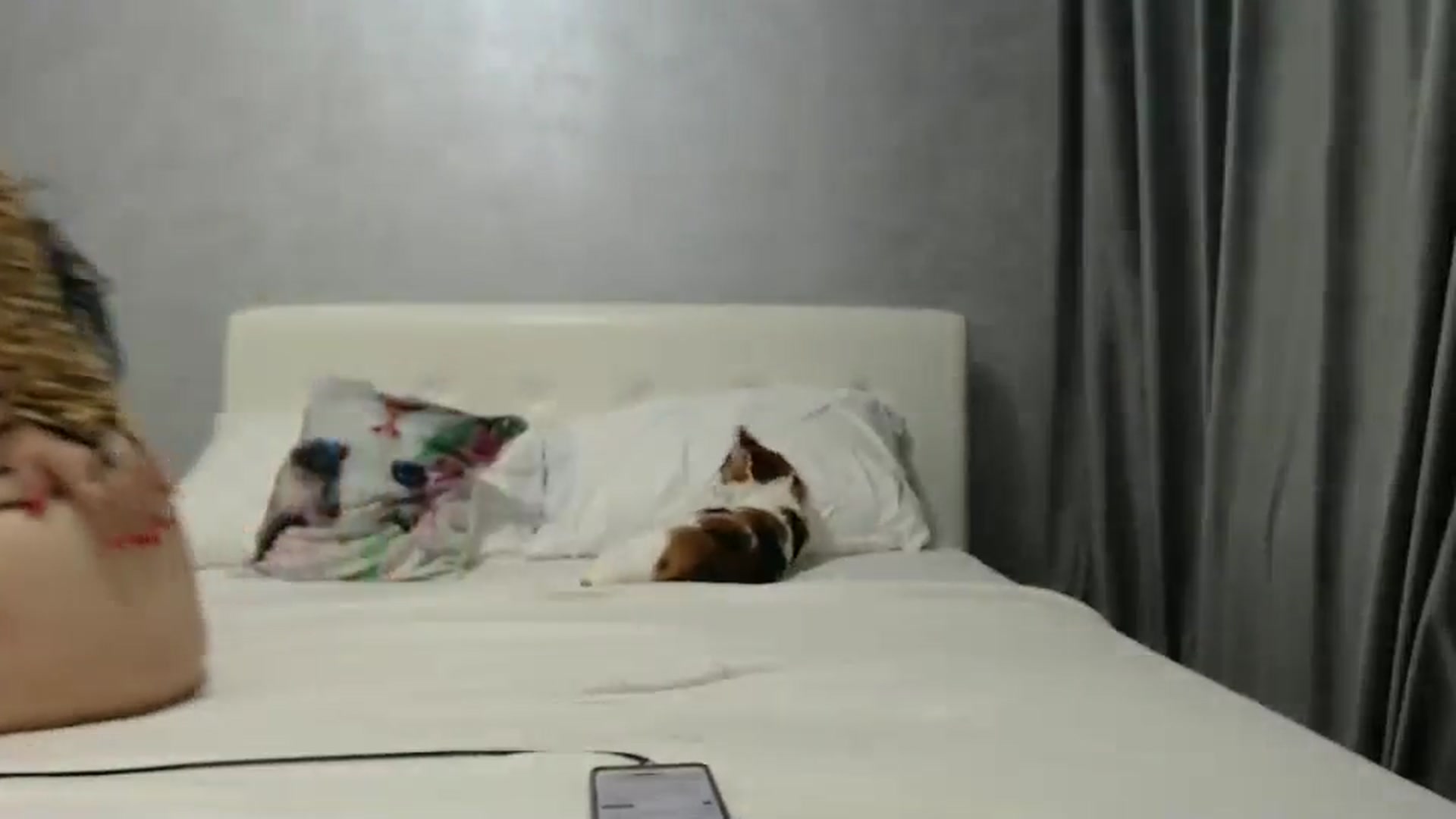 Gallery image thumbnail from Aahh_Emilia's myfreecams stream on, 11/30/2024, 17:52 image 10 of 20