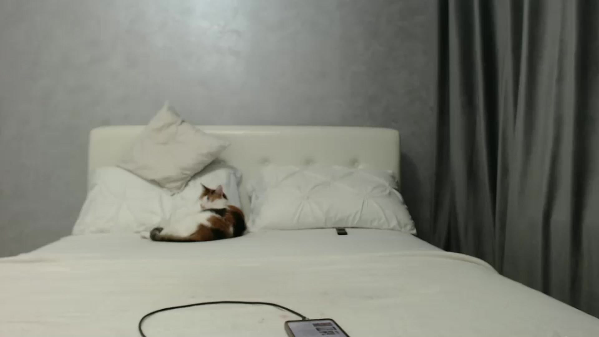 Gallery image thumbnail from Aahh_Emilia's myfreecams stream on, 12/05/2024, 17:35 image 15 of 20