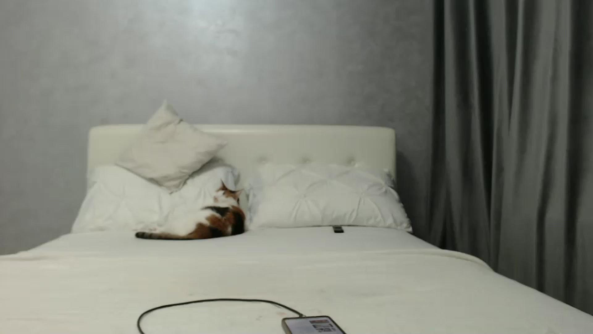 Gallery image thumbnail from Aahh_Emilia's myfreecams stream on, 12/05/2024, 17:35 image 14 of 20