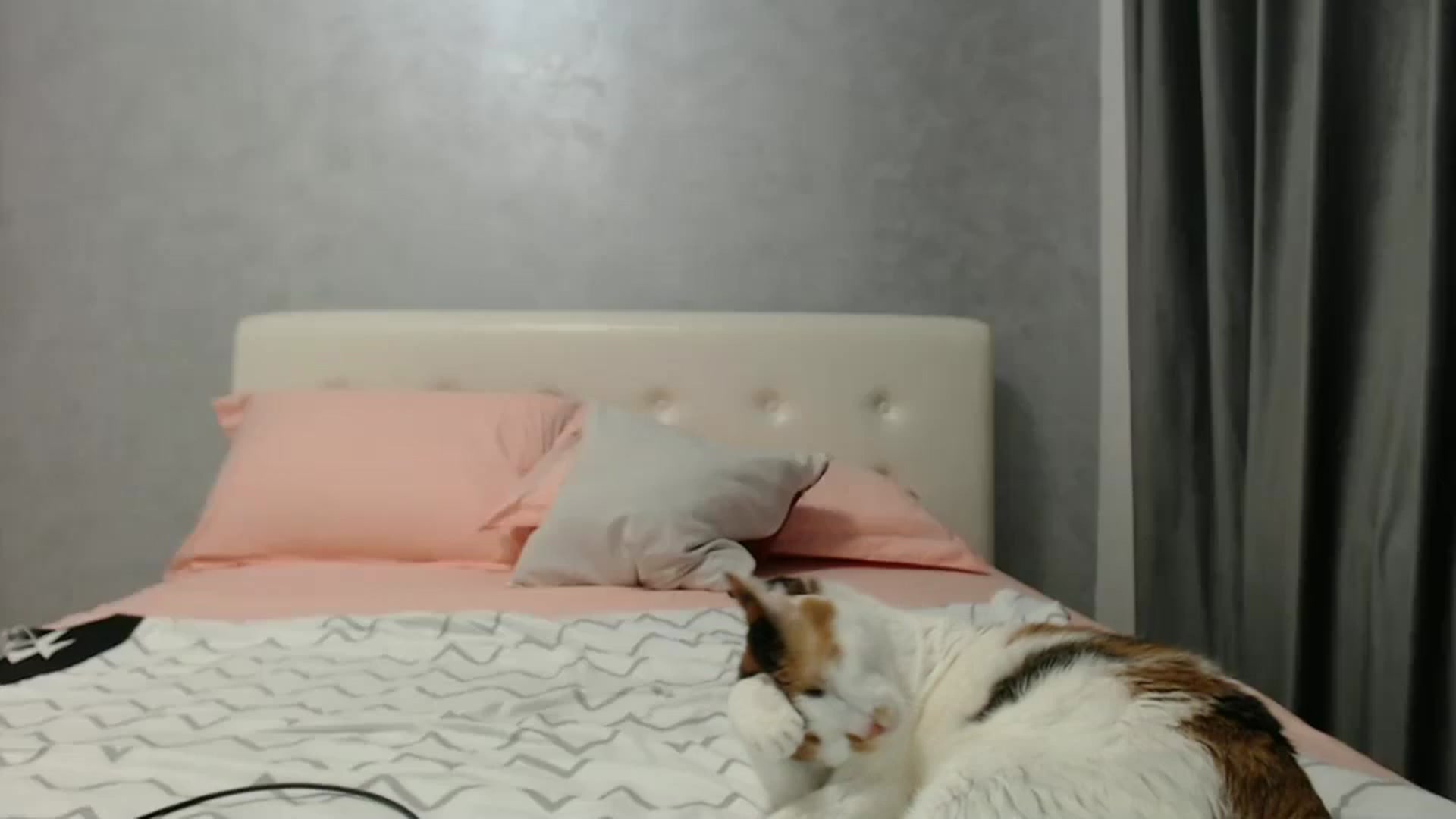 Gallery image thumbnail from Aahh_Emilia's myfreecams stream on, 12/13/2024, 18:10 image 1 of 20