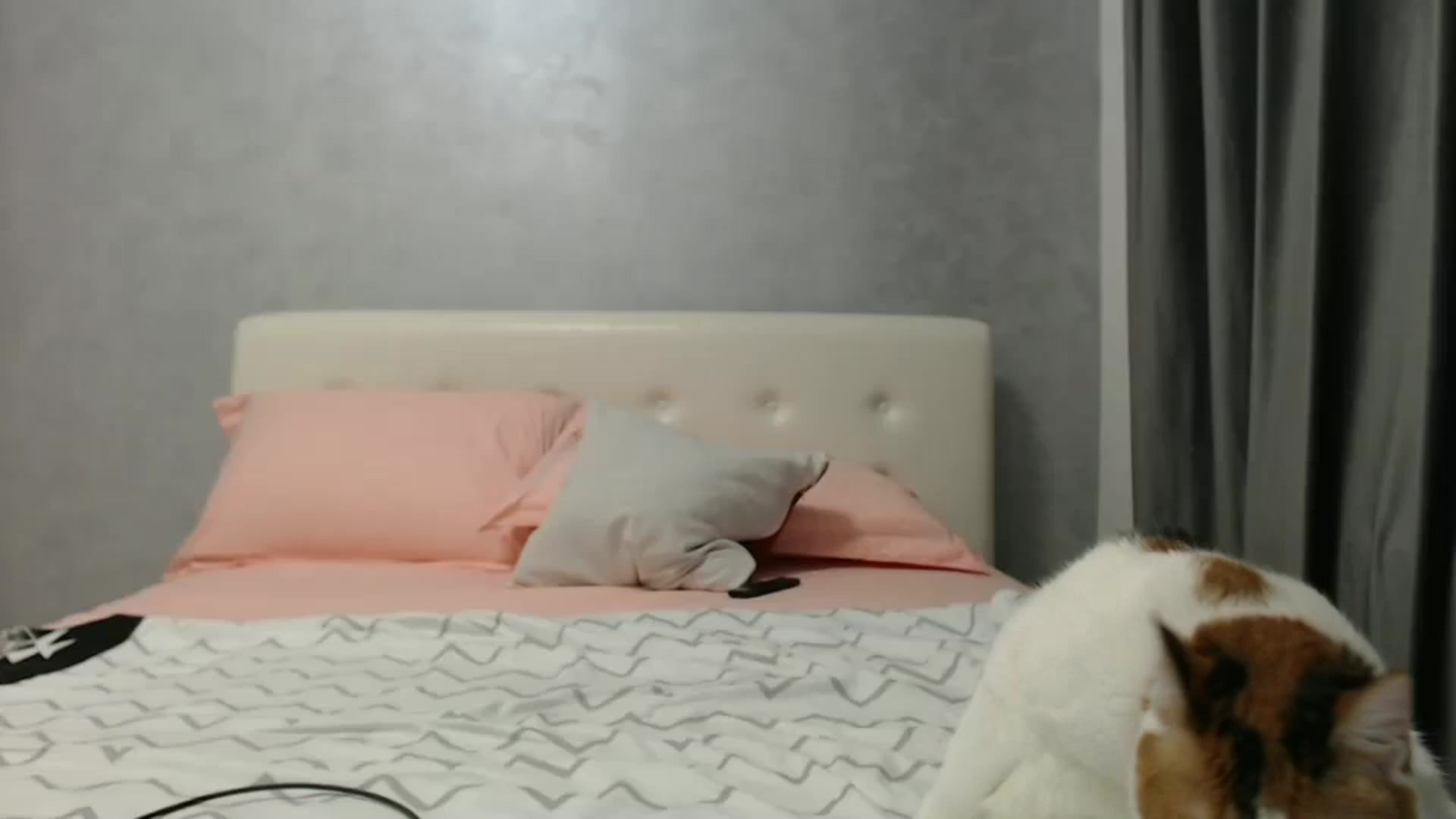 Gallery image thumbnail from Aahh_Emilia's myfreecams stream on, 12/13/2024, 18:10 image 2 of 20