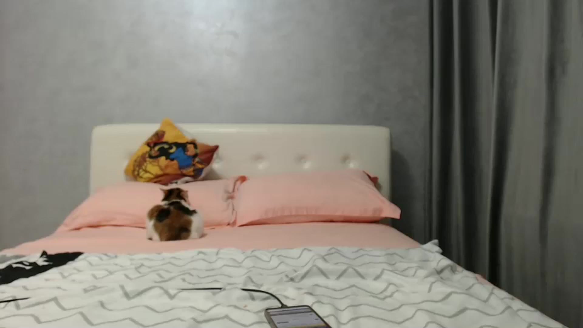 Gallery image thumbnail from Aahh_Emilia's myfreecams stream on, 12/16/2024, 18:02 image 14 of 20