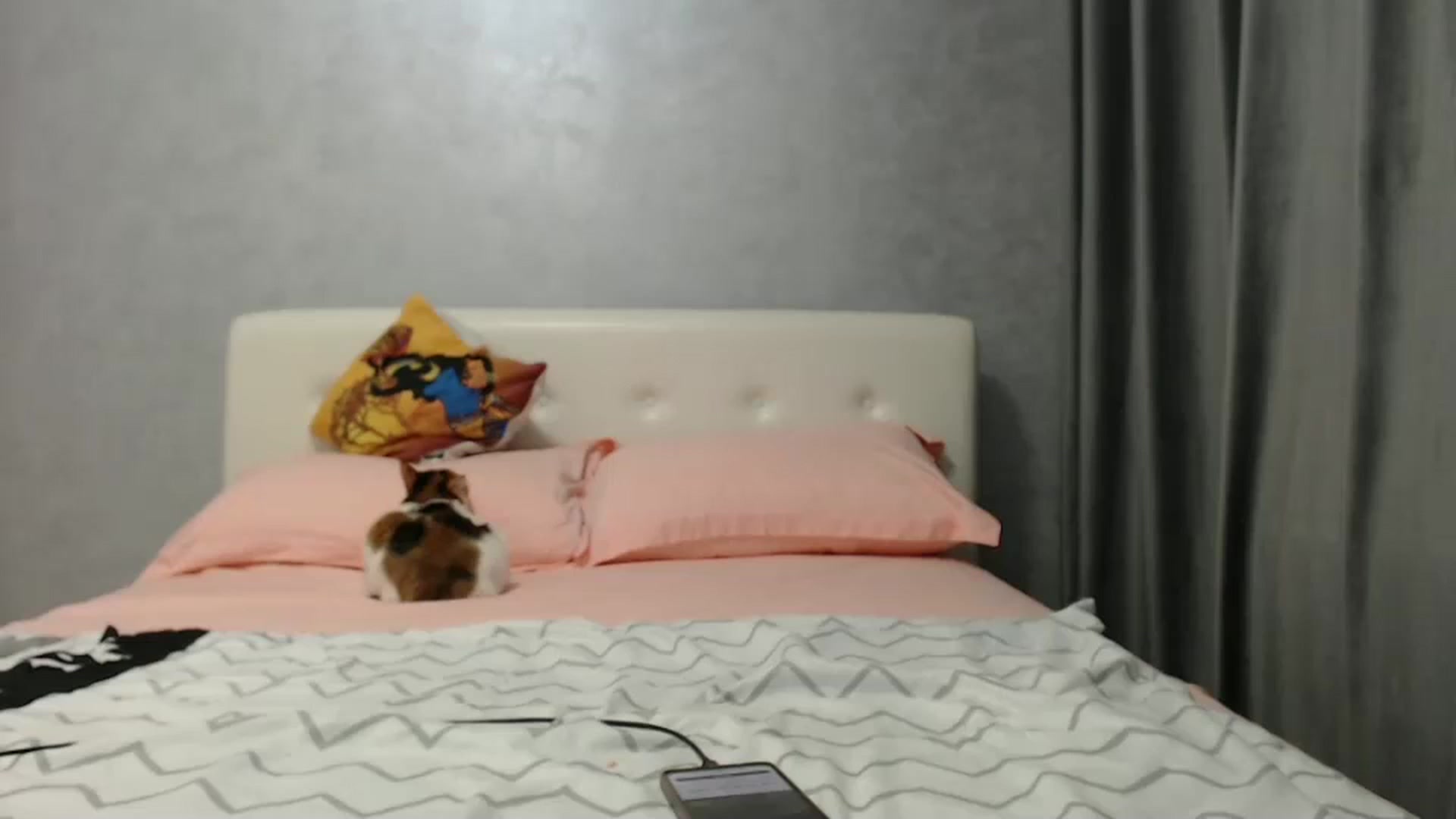 Gallery image thumbnail from Aahh_Emilia's myfreecams stream on, 12/16/2024, 18:02 image 15 of 20