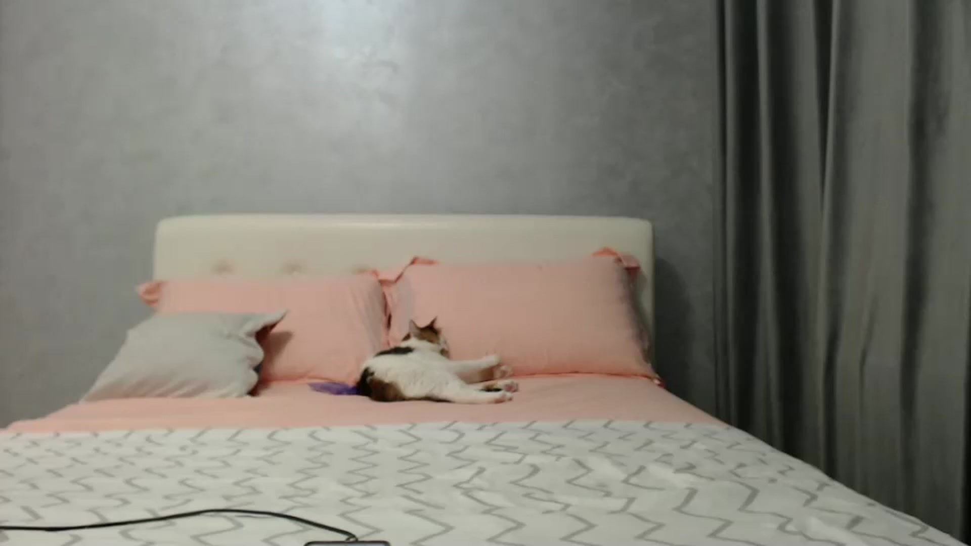 Gallery image thumbnail from Aahh_Emilia's myfreecams stream on, 12/17/2024, 18:08 image 19 of 20