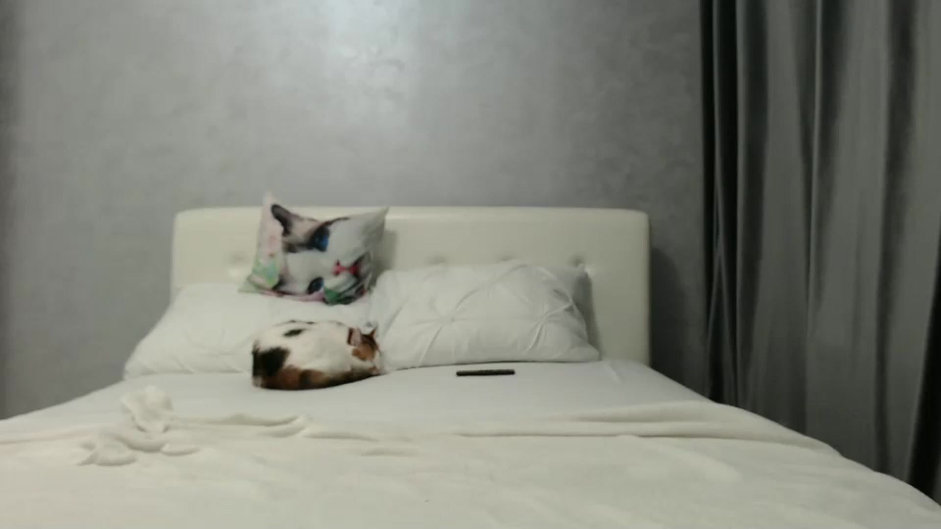 Gallery image thumbnail from Aahh_Emilia's myfreecams stream on, 12/22/2024, 18:09 image 9 of 20