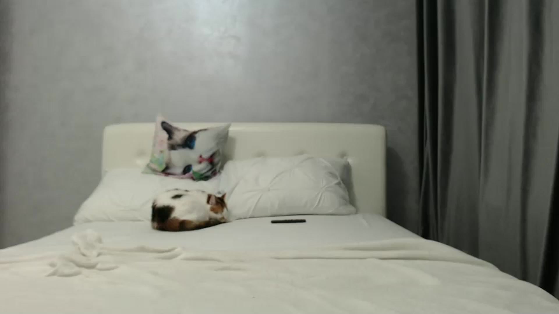 Gallery image thumbnail from Aahh_Emilia's myfreecams stream on, 12/22/2024, 18:09 image 8 of 20
